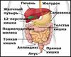 Дисбактериоз