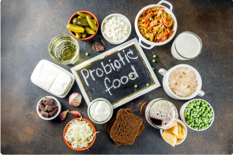 Что из себя представляют иммунокорректоры? Что из себя представляют иммунокорректоры?